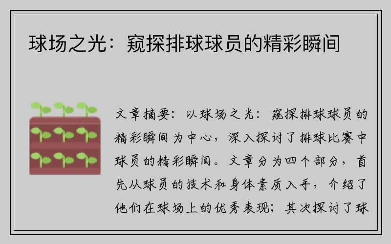 球场之光：窥探排球球员的精彩瞬间