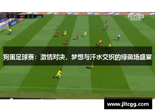 狗蛋足球赛：激情对决，梦想与汗水交织的绿茵场盛宴